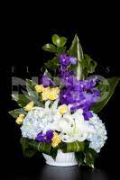 Olete jõudnud sellele lehele, sest see on kõige tõenäolisem otsin: Same Day Flower Delivery In Houston Tx 77081 By Your Ftd Florist Flowers By Nino Inc 281 873 6466
