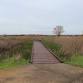 Celebrate National Trails Day with Boardwalk Trail Restoration