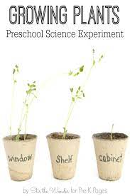 Science For Kids Growing Plants Experiment Pre K Pages Plants Science Experiments Plant Experiments Science Experiments For Preschoolers