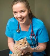 CAVD E-Newsletter February 2018