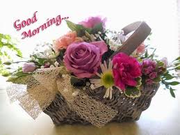 We did not find results for: Good Morning Flowers Pictures For Whatsapp Hutomo