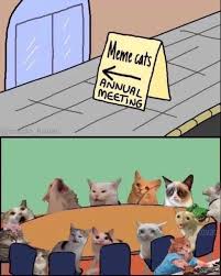 Image result for i can has cheezburger