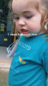 Discovering Waffle's True Identity: A Rooster Revealed