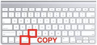 It is a very simple operation, and a regular pc user might find this post of litt. How To Copy And Paste Text Digital Unite