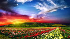 Full Hd Nature Wallpapers Free Download For Laptop Pc Desktop Background Valley Of Flowers Colorful Places Beautiful Landscapes