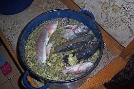 Wurzige Raucherlake Fur Frische Forellen Von Mollysland Chefkoch Fisch Rauchern Fisch Marinieren Forelle