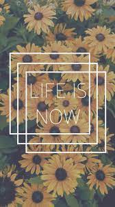 Sunflower Background Iphone Wallpaper Lock Screen Wallpaper Iphone Wallpaper Iphone Cute