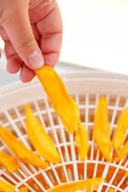 Dried Mango Slices In The Dehydrator The Cookie Writer