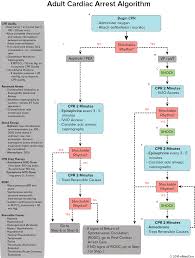 We did not find results for: Acls Algorithms You Need To Know