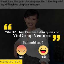 Vingroup ventures is the corporate venture arm of vingroup. Shark Linh Ä'áº§u Quan Cho Vingroup Biá»ƒu TÆ°á»£ng Tháº¿ Há»‡ Viá»‡t Kiá»u Thesaigonpost Com Tiáº¿ng Noi Cá»§a NgÆ°á»i Sai Gon