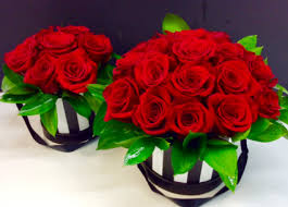 Gift baskets range from $39.99 to $209.99, while teddy bear and balloon gift packages start at $44.99. Magnificent Roses Hat Box In Troy Mi Della S Maple Lane Florist