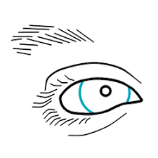 Ok guys, do you remember your own hand? How To Draw Cartoon Eyes Made With Simple Lines