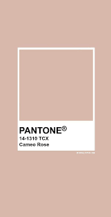 The hexadecimal color code #b4918f is a medium light shade of red. Pantone Cameo Rose Pantone 14 1310 Color Pantone Neutral Colors Pantone Colour Palettes Pantone Pantone Color