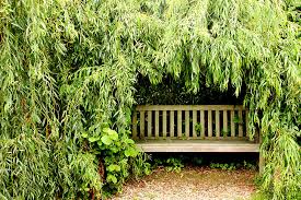 Bamboo Banks Farm