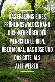 Die 50 Besten Zitate Zu Den Themen Wald Und Baume Waldzitate Gute Zitate Naturzitate Zitate
