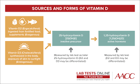 Infographic Sources And Forms Of Vitamin D Vitamin D Vitamins Vitamin D2
