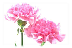 Estella Marie Wright Obituary