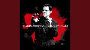Hola chicas, astazi va prezint o oja holografica superba de la color club in nuanta wild at heart. Shakin Stevens Returns With New Single Wild At Heart Announces Anthology Fire In The Blood Stereoboard