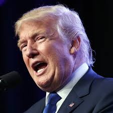 Companies that owed money to Donald Trump made big donations to his  tax-exempt charity