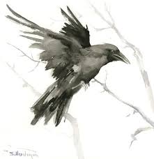Black And White Raven Drawing Flying Crow Raven Original Watercolor Painting 12 X 12 In Crow Lover Art Raven Lover Black And White Raven America Crow Painting Crows Artwork Bird Art