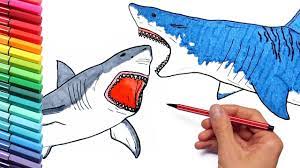 Academia naruto paw patrol people peppa pig perspective phineas and ferb pink diamond pixar pokemon pokémon pokémon go potty rainbow six siege raven queen realistic romeo and. Megalodon Vs Shark Drawing And Coloring Pages For Children How To Draw Sea Animals Youtube