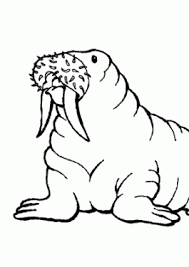 We did not find results for: Animal Coloring Pages For Kids Printable And Online Coloring 4kids Com