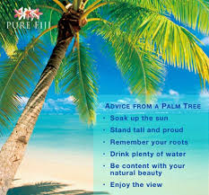Trees are essential for life. Advice From A Palm Tree Palm Trees Drink Plenty Of Water Beach Quotes