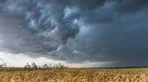 Und was machen die temperaturen? Unwetter Warnung Aktuell Im Juli Hier Knallt Es Heute Richtig Unwetter Hammer News De