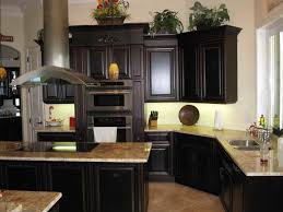 kitchen rustic with black appliances