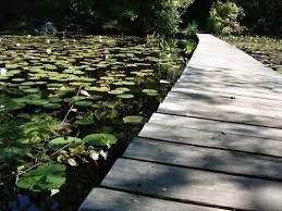 Rocky Woods Medfield Ma The Trustees Of Reservations Wood Rocky Medfield