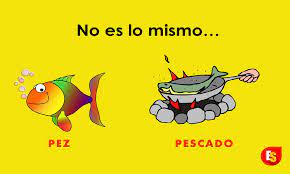 How To Say Fish In Spanish Watch Out The Difference Learning Spanish Spanish Classroom Teaching Spanish