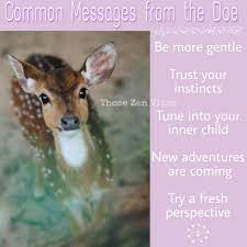 Spirit Animal Doe In 2021 Spirit Animal Animal Spirit Guides Spiritual Animal