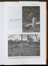 Image result for Gardenia transvenulosa