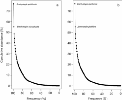 Image result for Brachystegia spiciformis × microphylla