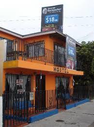 We did not find results for: Tacos El Fenix Best Fish Tacos Period Picture Of Ensenada Backpacker Tripadvisor