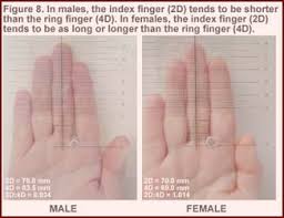 Talk To The Hand Who Are Todays Finger Measurement