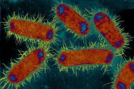 When i asked one of the engineers how they managed to schedule when each program will be run, he said that the researchers sent, with their programs, an estimative of how long they would take to run, based on the previous analysis that some program made for this purpose. What You Need To Know About Resistant Urinary Tract Infections The New York Times