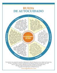 Olga Phoenix Self Care Wheel Self Care Self Healing