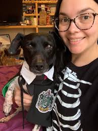 Hello fellow az horror fans im natasha. Im the owner of Purr Goddess LLC .  I make spooky bath, body, wax melts, candles, car freshies, & more. I just  wanted to share