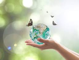 Customize designs to celebrate the international environment day in your business with edit.org free templates. Buy 5 Ace World Environment Day B M Sticker Poster Save Earth Save Nature Globar Warming Size 12x18 Inch Multicolor Online At Low Prices In India Amazon In