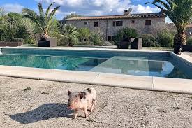 Einmalige feste in einem hotel ganz für sich allein. Villa Vegana Das Vegane Hotel Und Restaurant Paradies Auf Mallorca