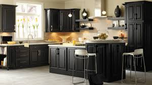 decorating dark kitchen cabinets own