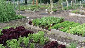 You invest a lot of time and effort into making your yard beautiful, so it's frustrating when pests. A Guide To Common Organic Garden Pesticides