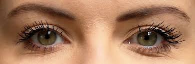 Die standardfarben von mascara sind in der regel schwarz und braun. Mascara Test 2021 Die Vier Besten Mascaras Im Vergleich Gala De