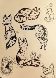 Loth Cats Star Wars Drawings Star Wars Art Star Wars Fan Art