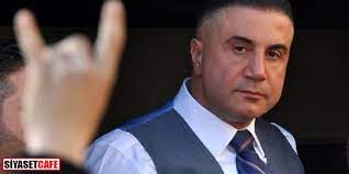Ibrahimoviç'in tuğba özay'ın düğününe katılması. Sedat Peker Amedovski Oldu