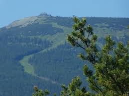 Maybe you would like to learn more about one of these? Marek Niedzwiecki