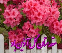 Image result for ‫خوش آمدید‬‎