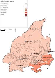 Image result for Elytrophorus globularis