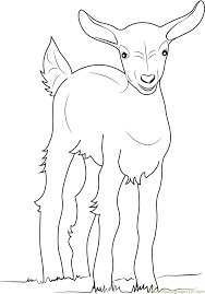 We did not find results for: Baby Goat Coloring Page For Kids Free Goat Printable Coloring Pages Online For Kids Coloringpages101 Com Coloring Pages For Kids